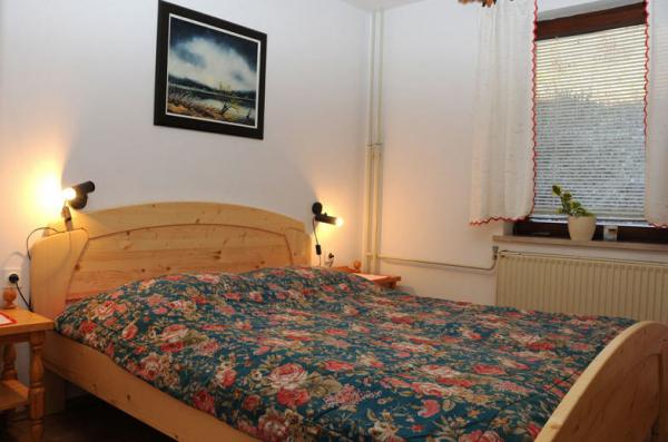 Apartman Wellness