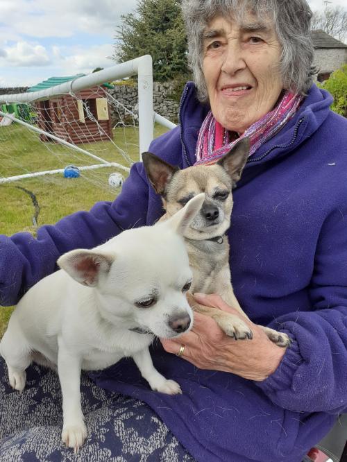 Bauernhof Großbritannien