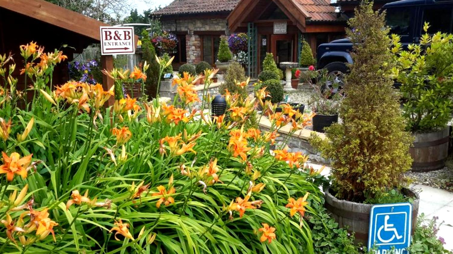 Bridge Farm guesthouse bristol Bridge Farm guesthouse bristol